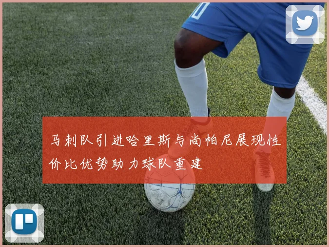 马刺队引进哈里斯与尚帕尼展现性价比优势助力球队重建